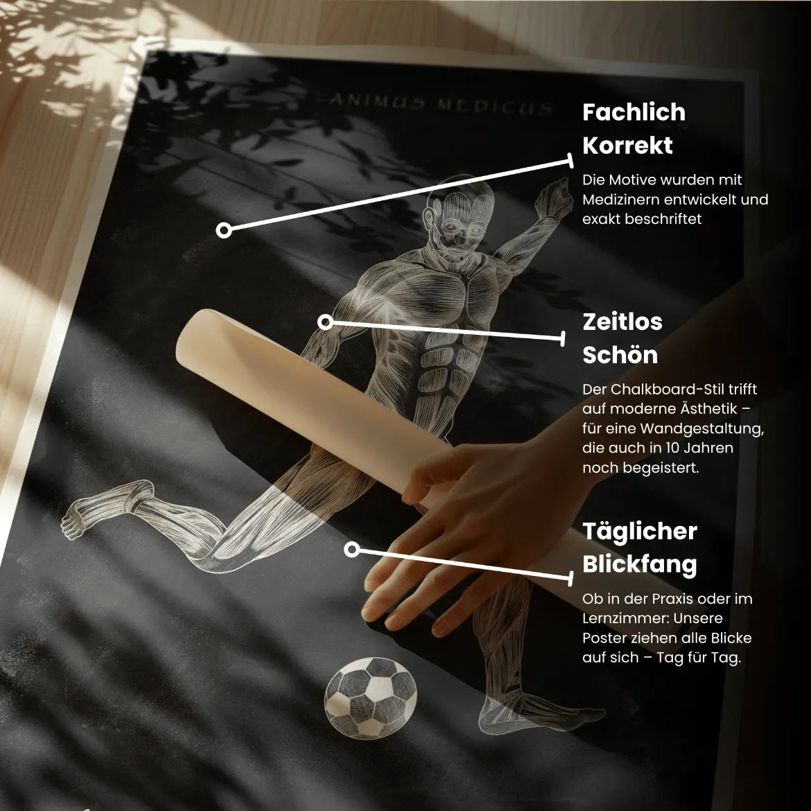 Fußball Anatomie Poster - Chalkboard - Animus Medicus GmbH