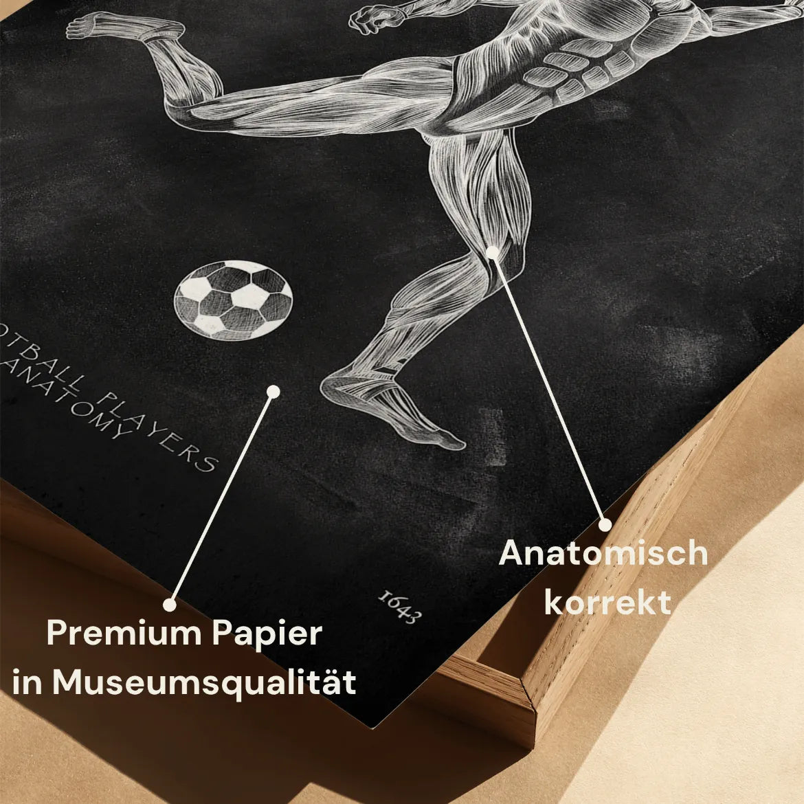 Fußball Anatomie Poster - Chalkboard - Animus Medicus GmbH