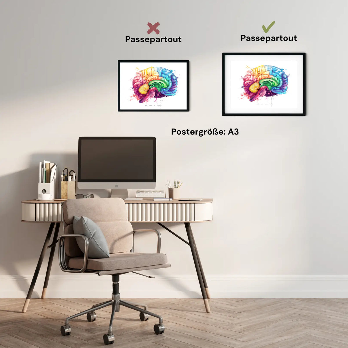 Gehirn Anatomie - Rainbow - Animus Medicus GmbH