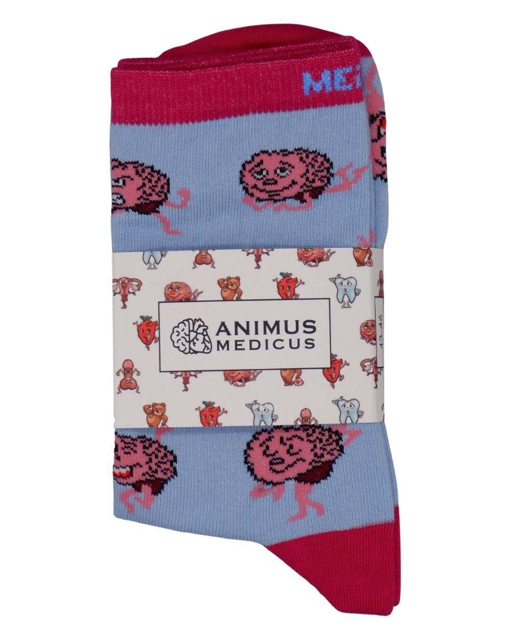 Gehirn Anatomie Socken aus Bio-Baumwolle - Animus Medicus GmbH