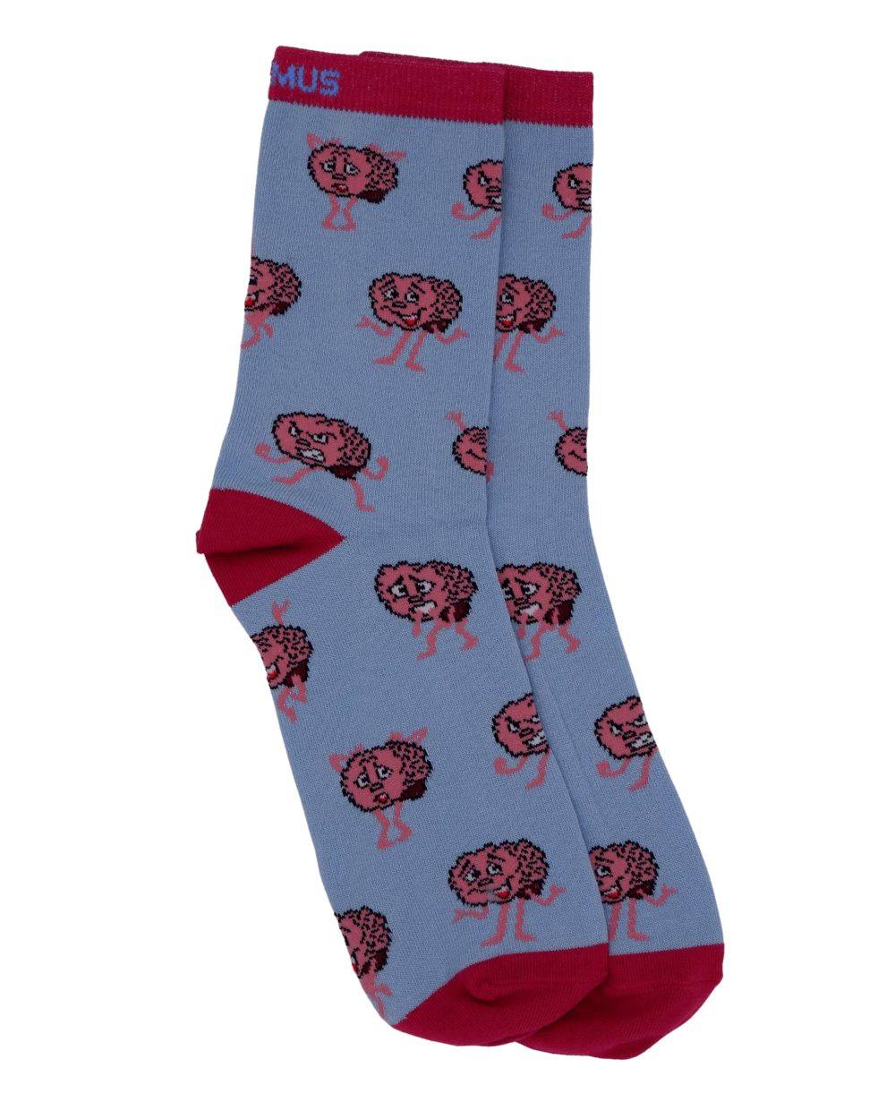 Gehirn Anatomie Socken aus Bio-Baumwolle - Animus Medicus GmbH
