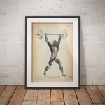 Gewichtheben Anatomie Poster - Animus Medicus GmbH