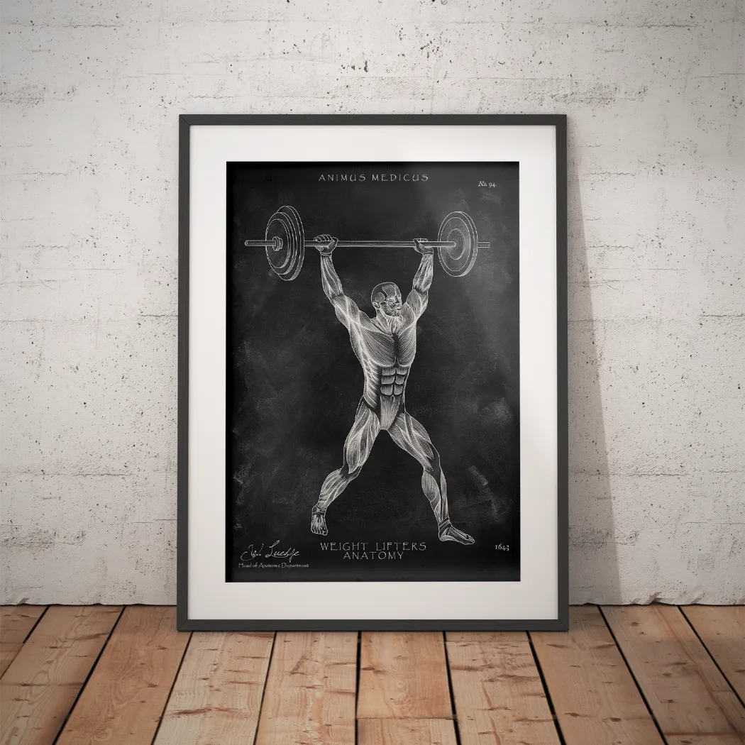 Gewichtheben Anatomie Poster - Chalkboard - Animus Medicus GmbH