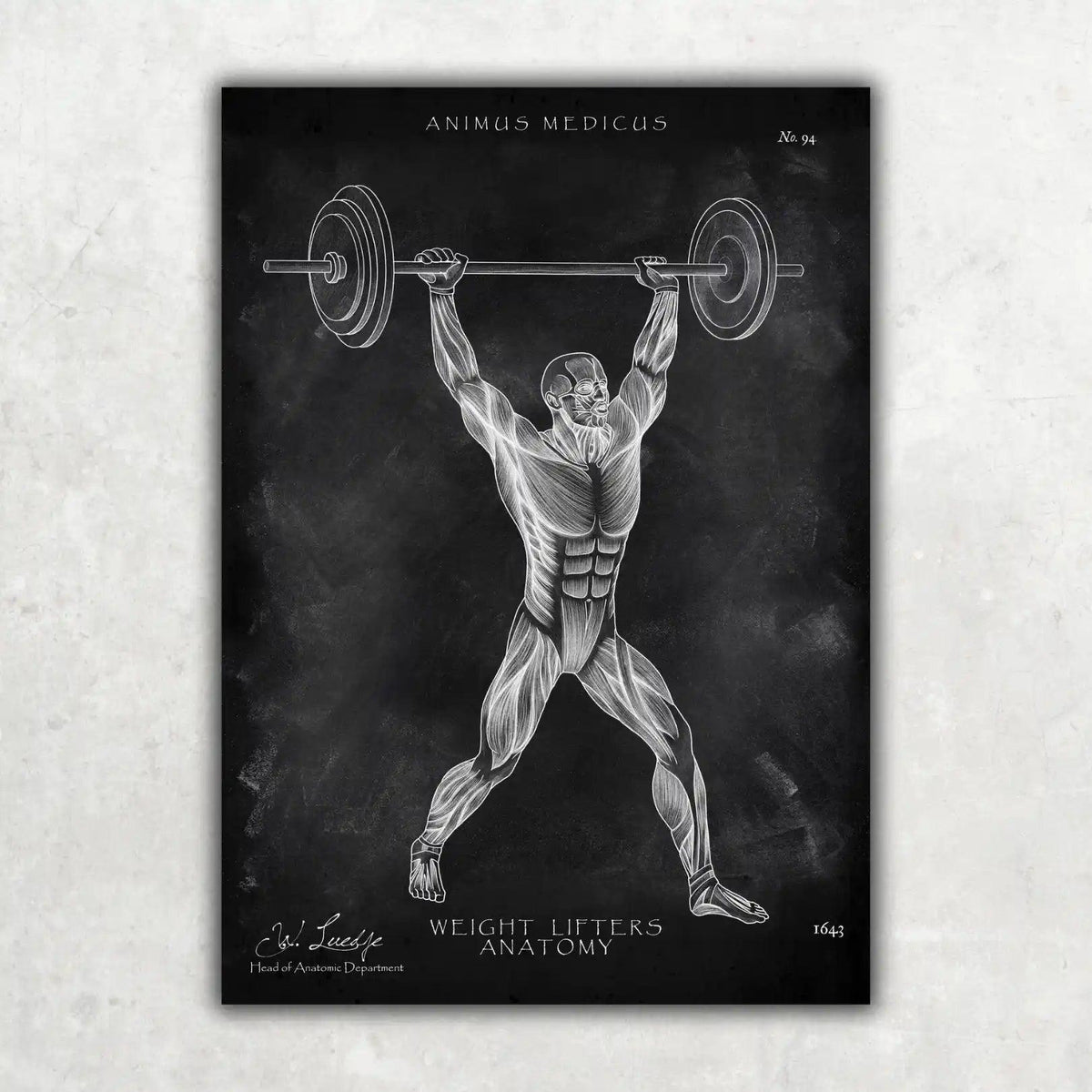 Gewichtheben Anatomie Poster - Chalkboard - Animus Medicus GmbH