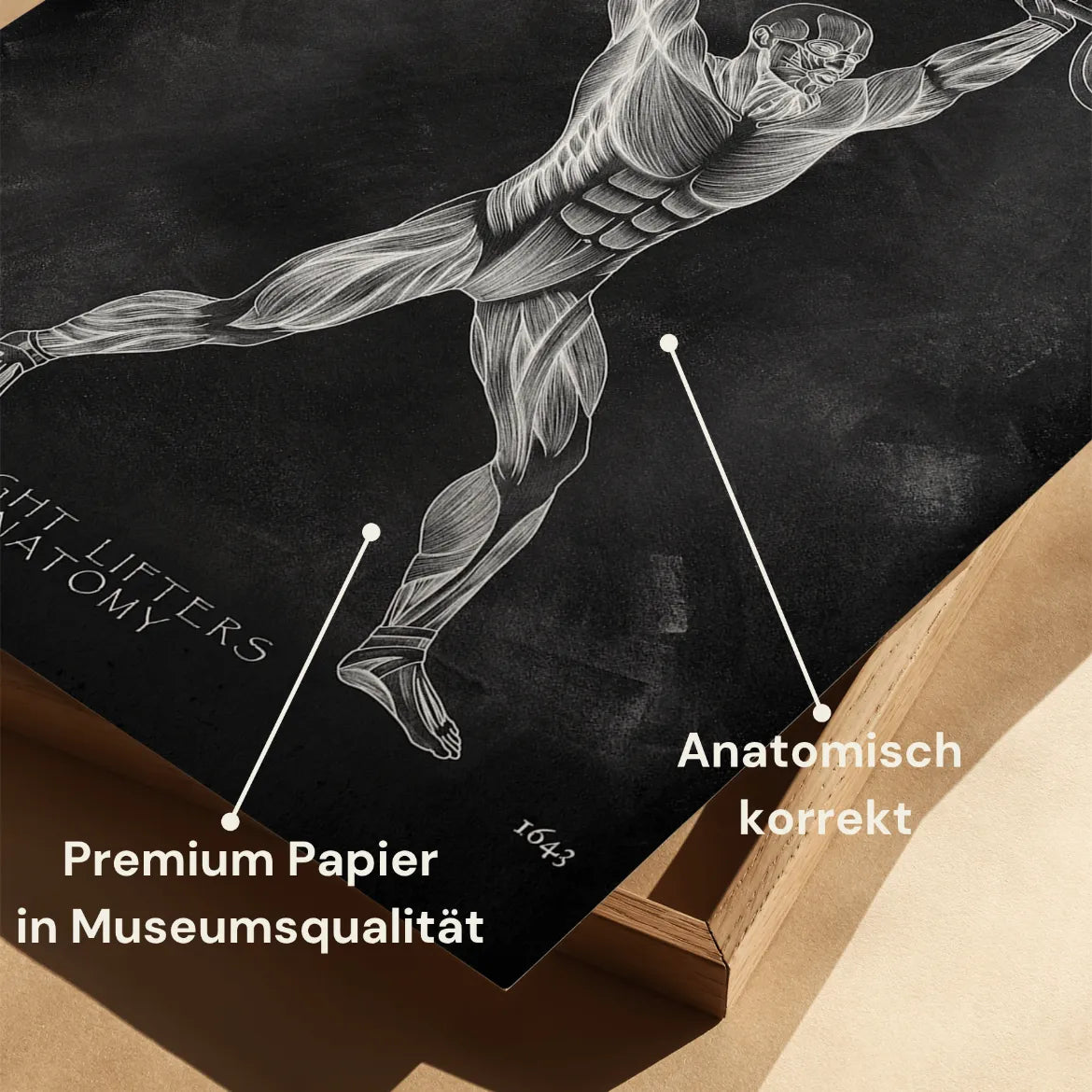 Gewichtheben Anatomie Poster - Chalkboard - Animus Medicus GmbH