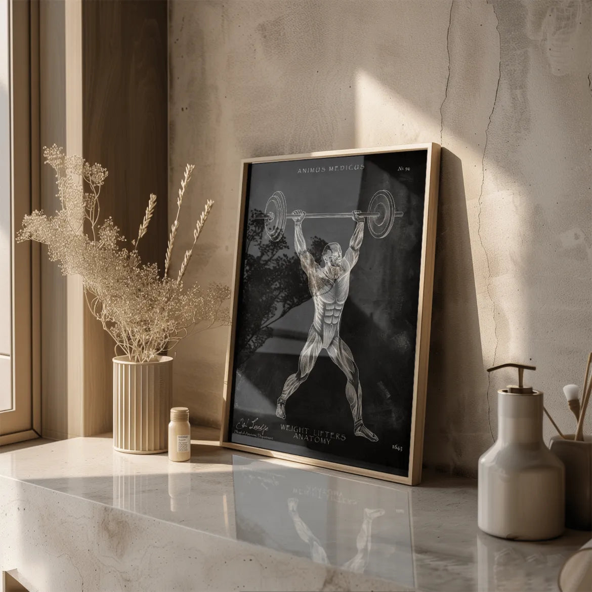 Gewichtheben Anatomie Poster - Chalkboard - Animus Medicus GmbH