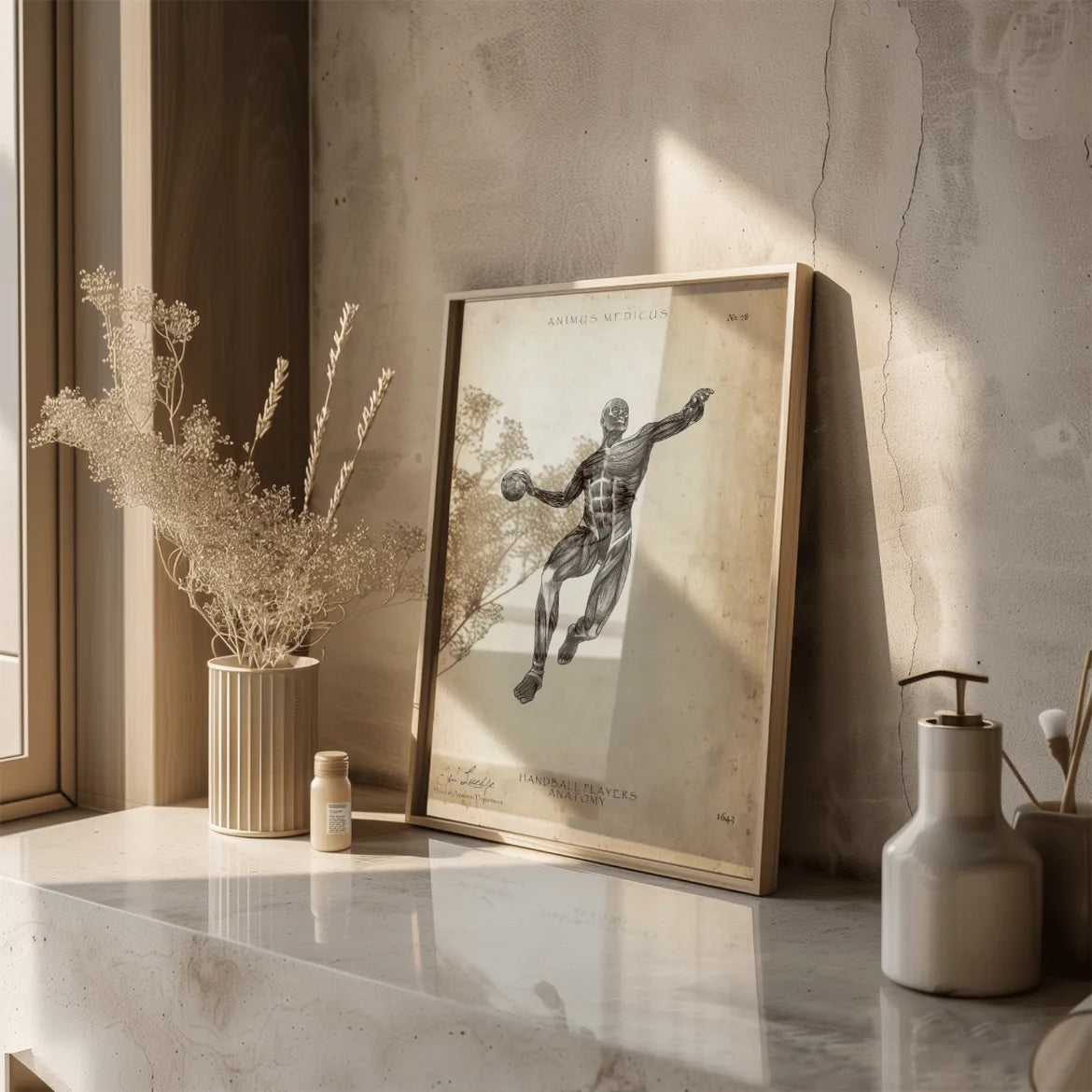 Handball Anatomie Poster - Animus Medicus GmbH