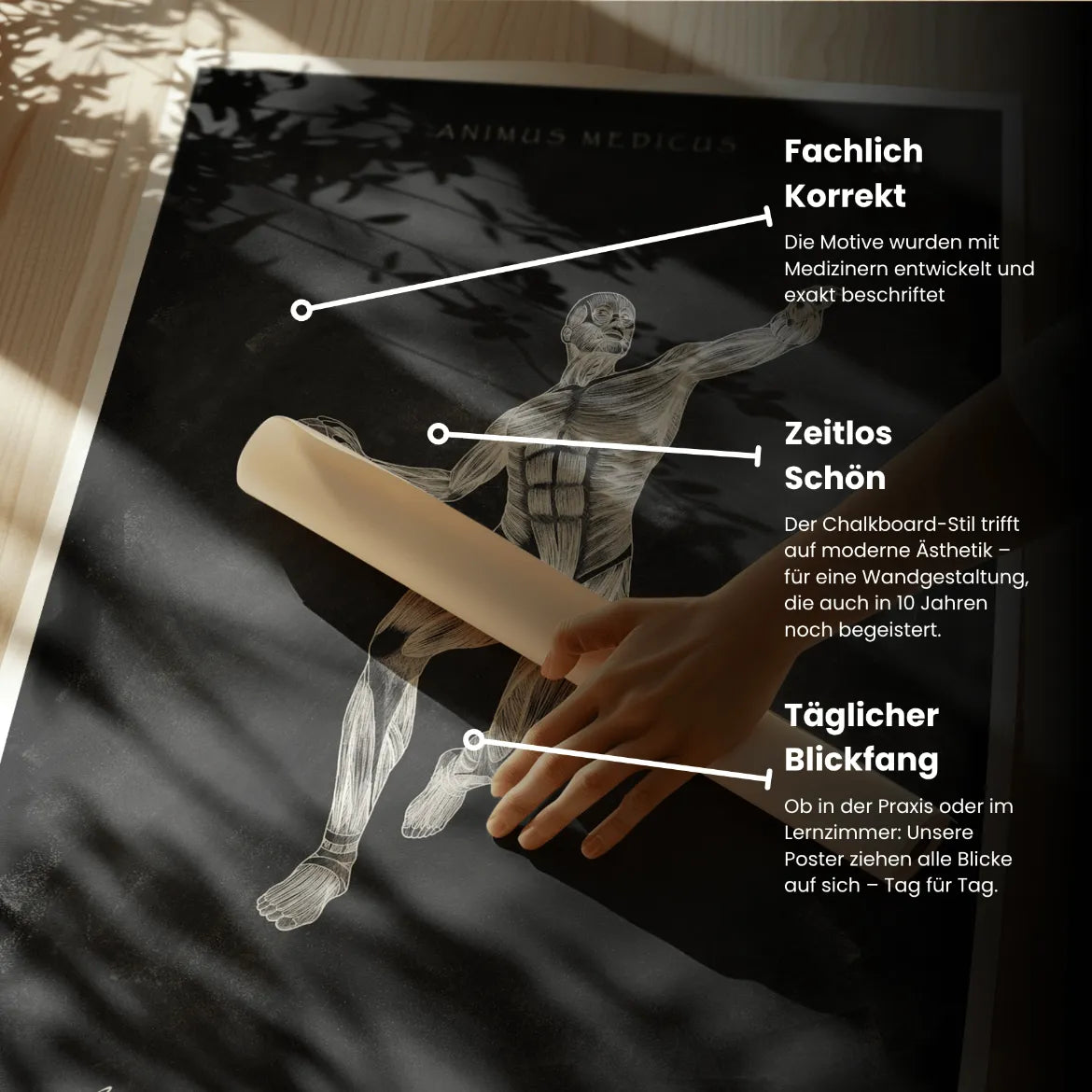 Handball Anatomie Poster - Chalkboard - Animus Medicus GmbH