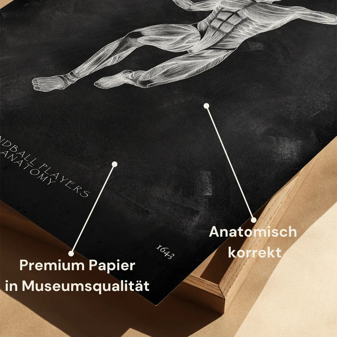 Handball Anatomie Poster - Chalkboard - Animus Medicus GmbH