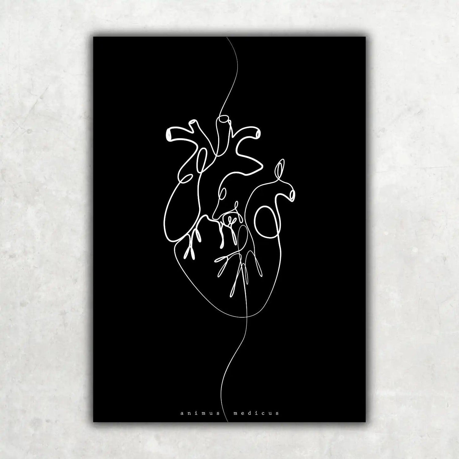 Herz Anatomie Minimalist Dark - Animus Medicus GmbH