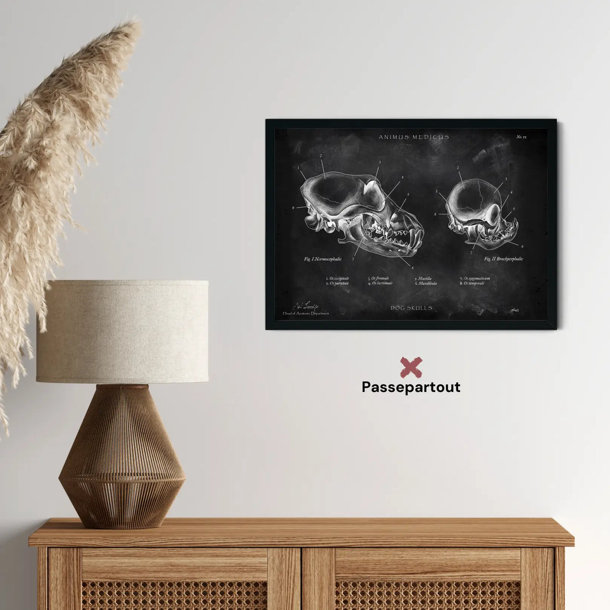 Hunde Schädel - Chalkboard - Animus Medicus GmbH