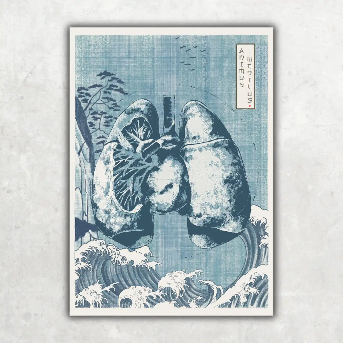 Japan Bundle - Animus Medicus GmbH