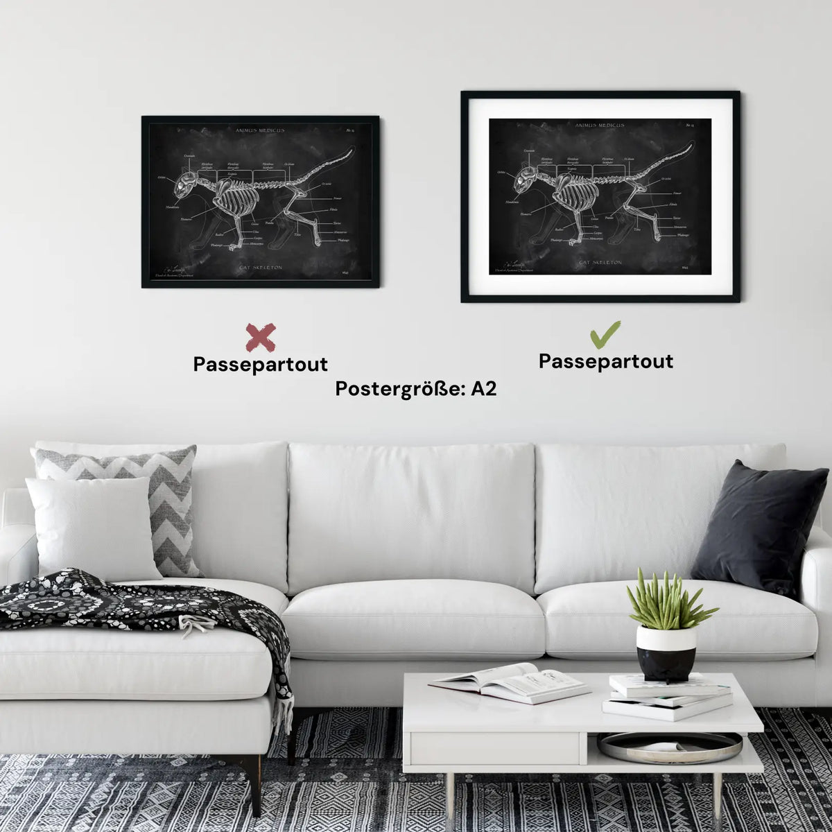 Katzen Skelett - Chalkboard - Animus Medicus GmbH