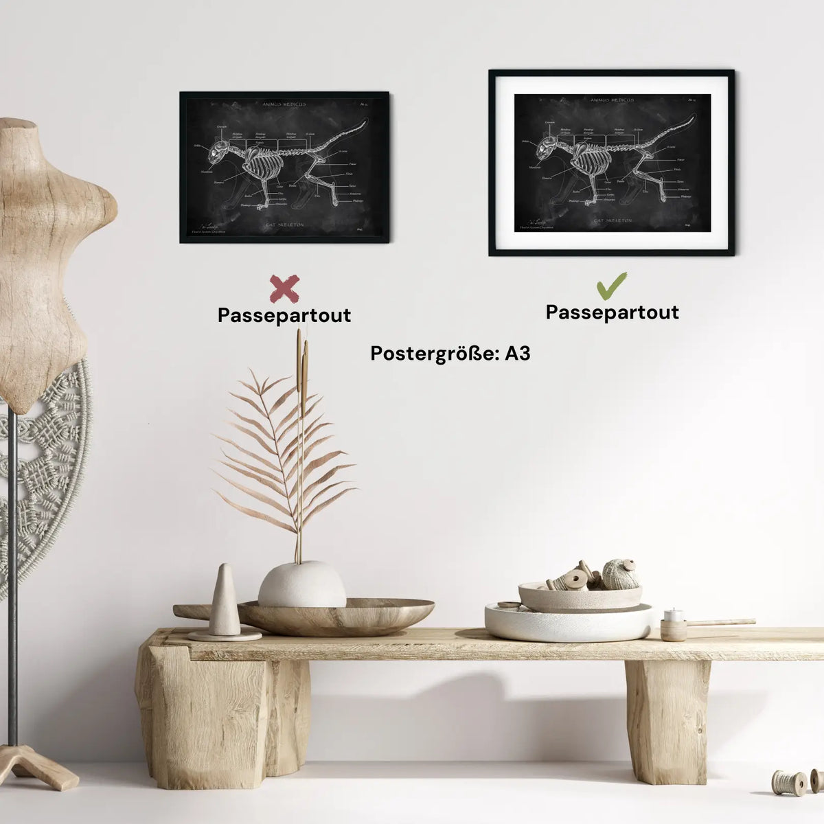 Katzen Skelett - Chalkboard - Animus Medicus GmbH