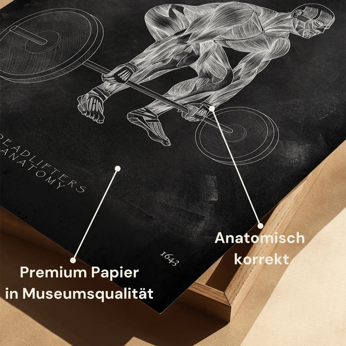 Kreuzheben Anatomie Poster - Chalkboard - Animus Medicus GmbH