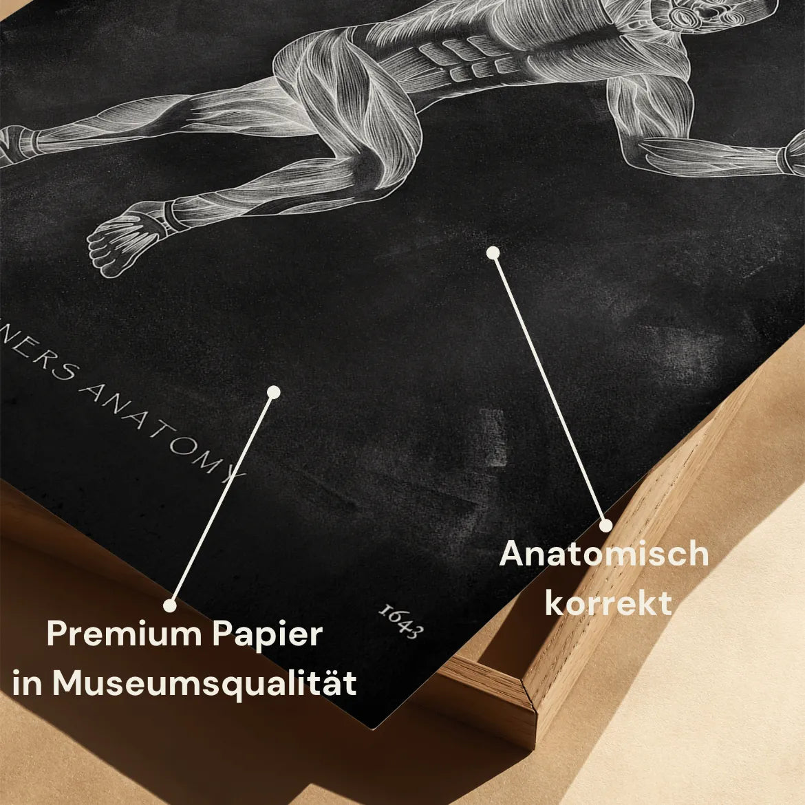 Läufer Anatomie Poster - Chalkboard - Animus Medicus GmbH