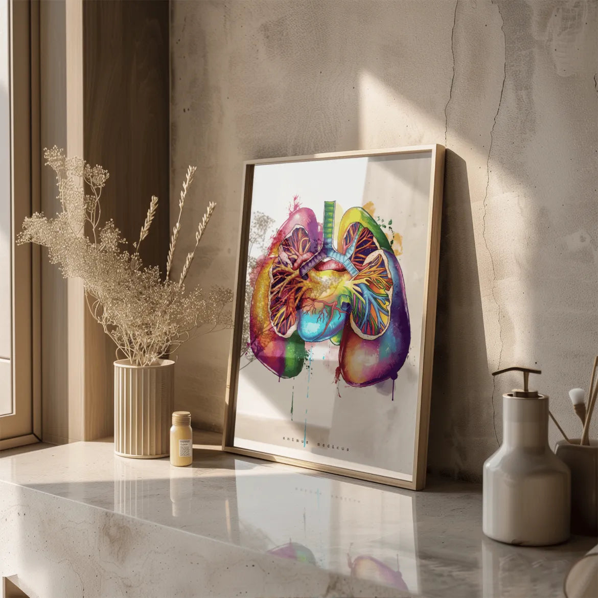 Lungen Anatomie - Rainbow - Animus Medicus GmbH