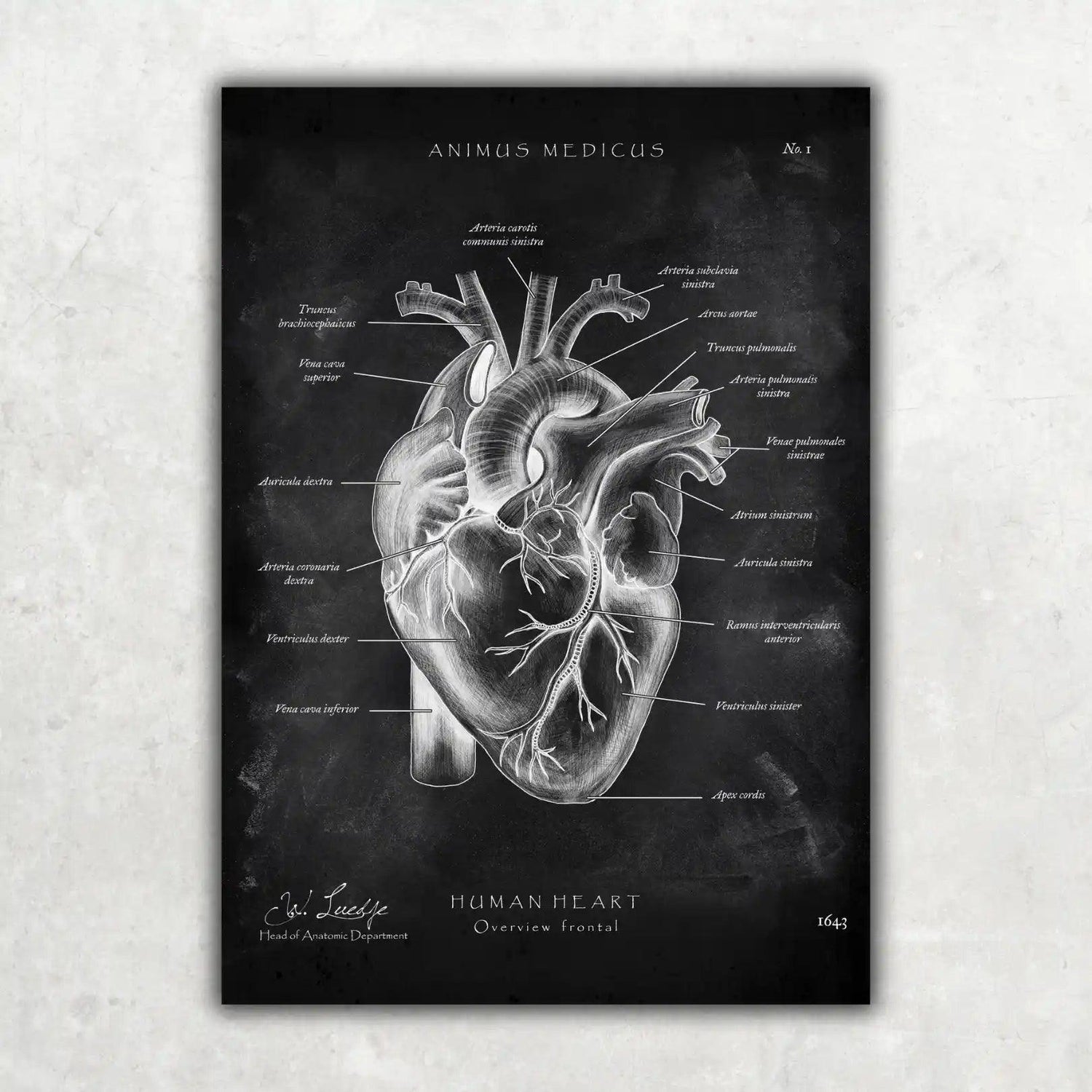 MediCare Bundle Chalkboard - Animus Medicus GmbH