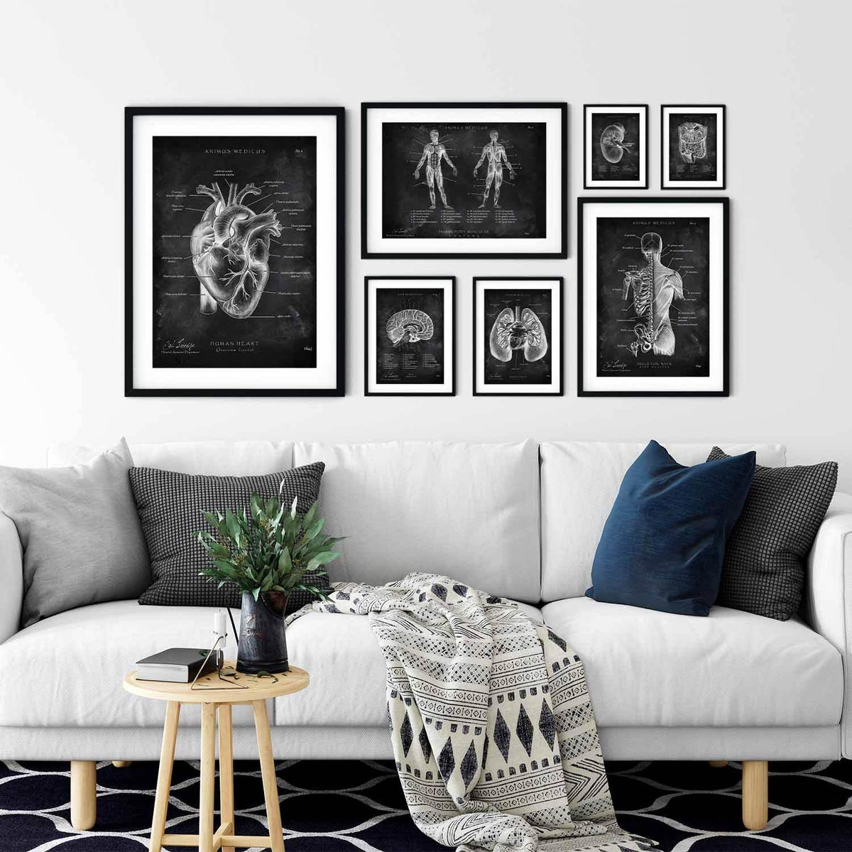 MediCare Bundle Chalkboard - Animus Medicus GmbH