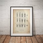 Morphologie der Zähne - Animus Medicus GmbH