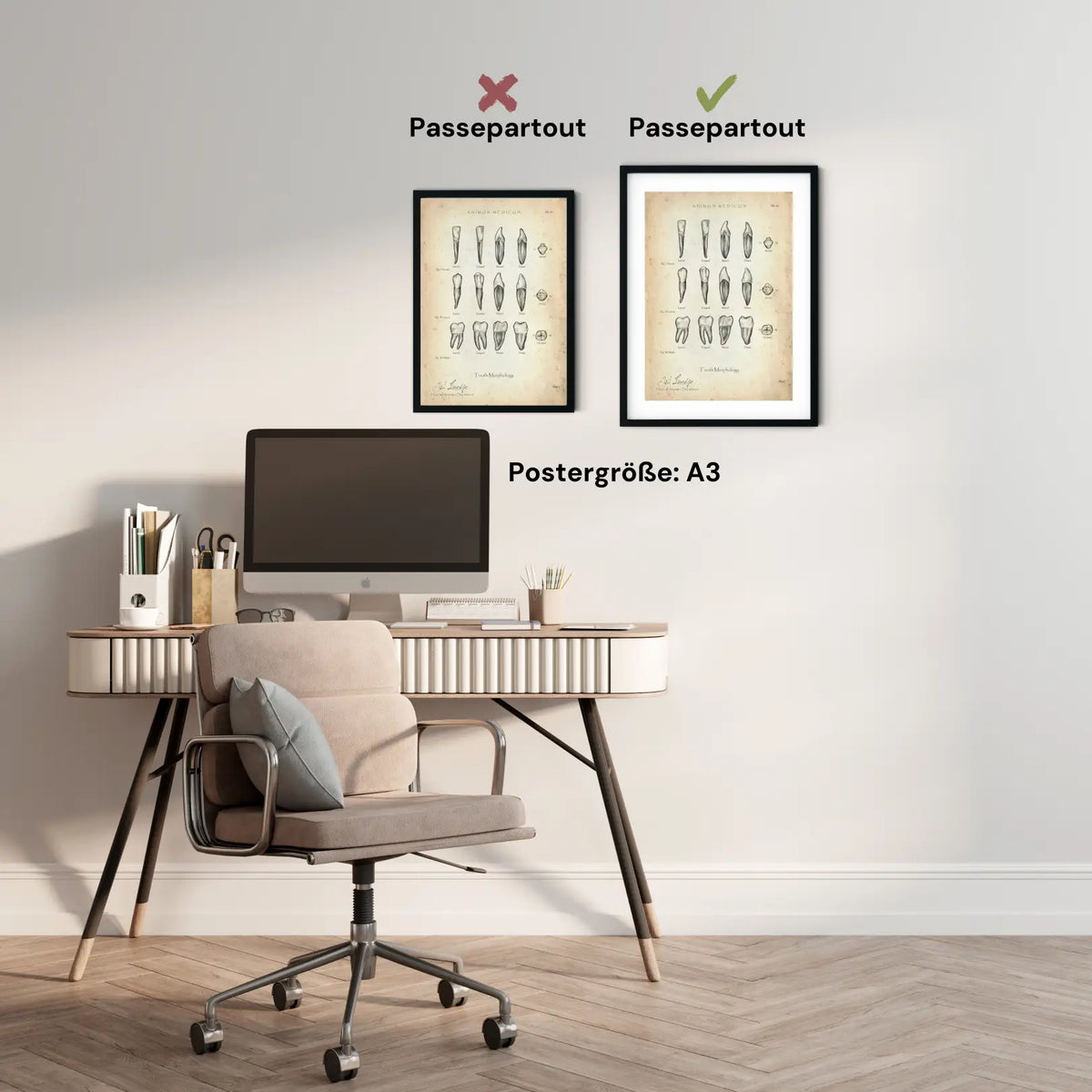 Morphologie der Zähne - Animus Medicus GmbH