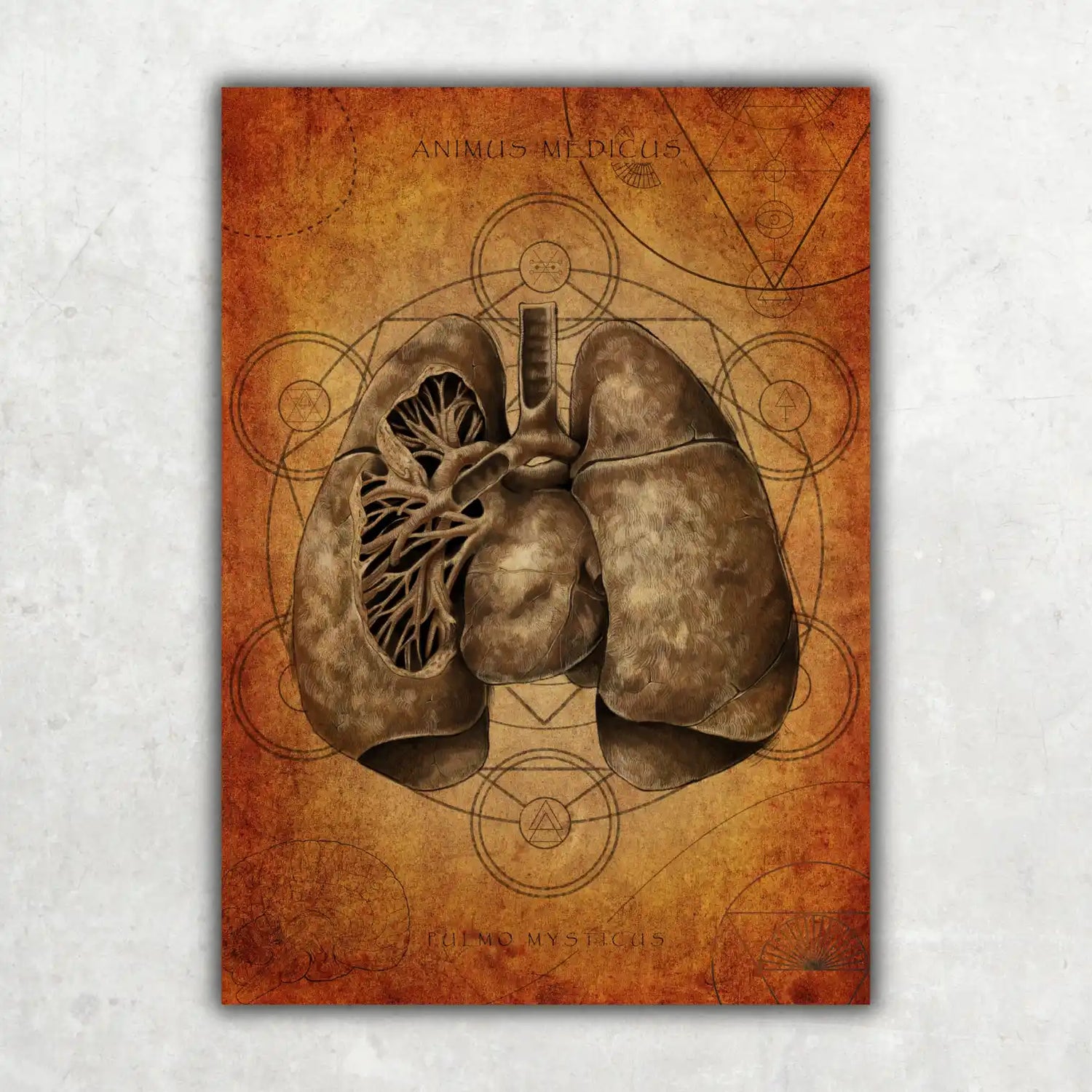 Mystische Lunge - Animus Medicus GmbH