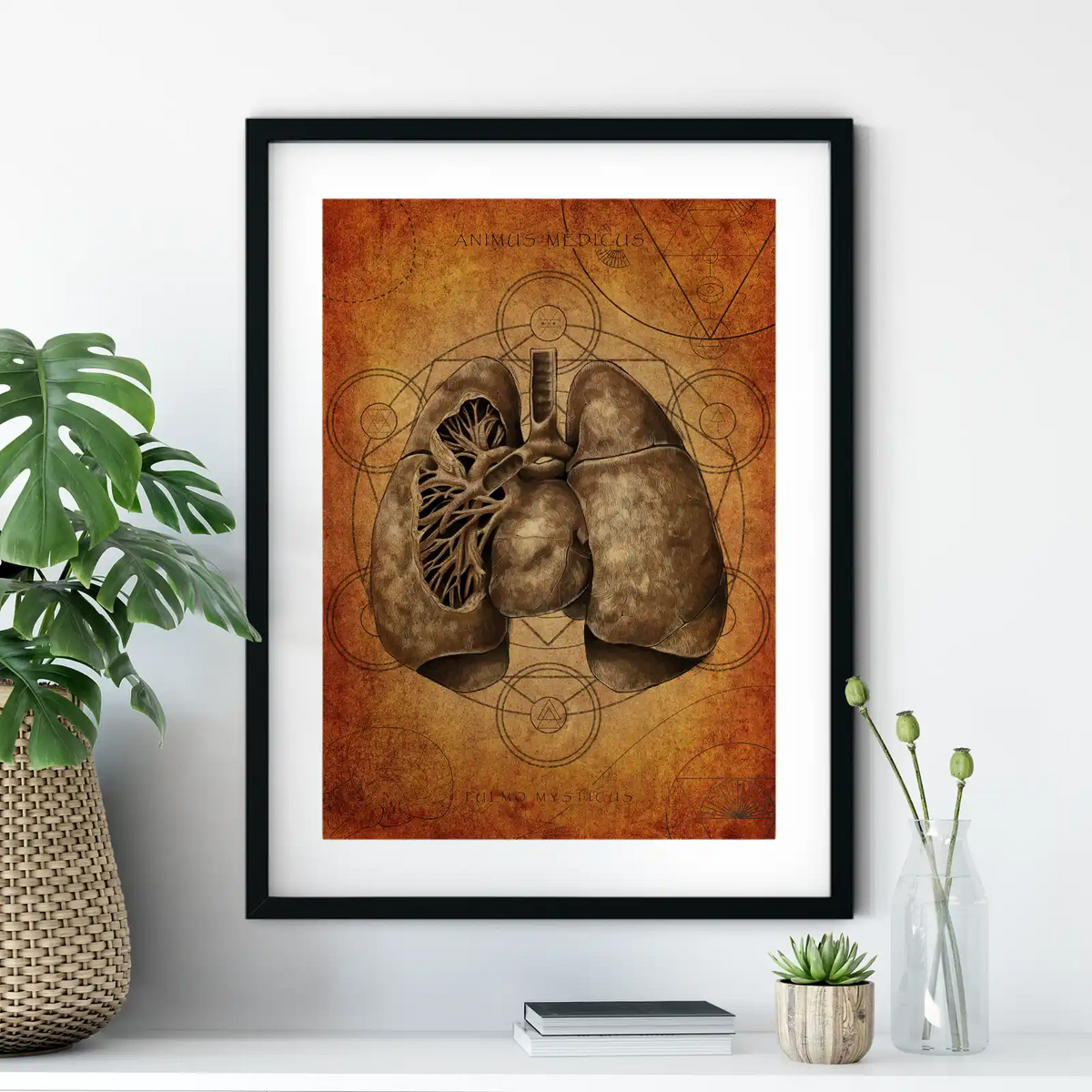 Mystische Lunge - Animus Medicus GmbH