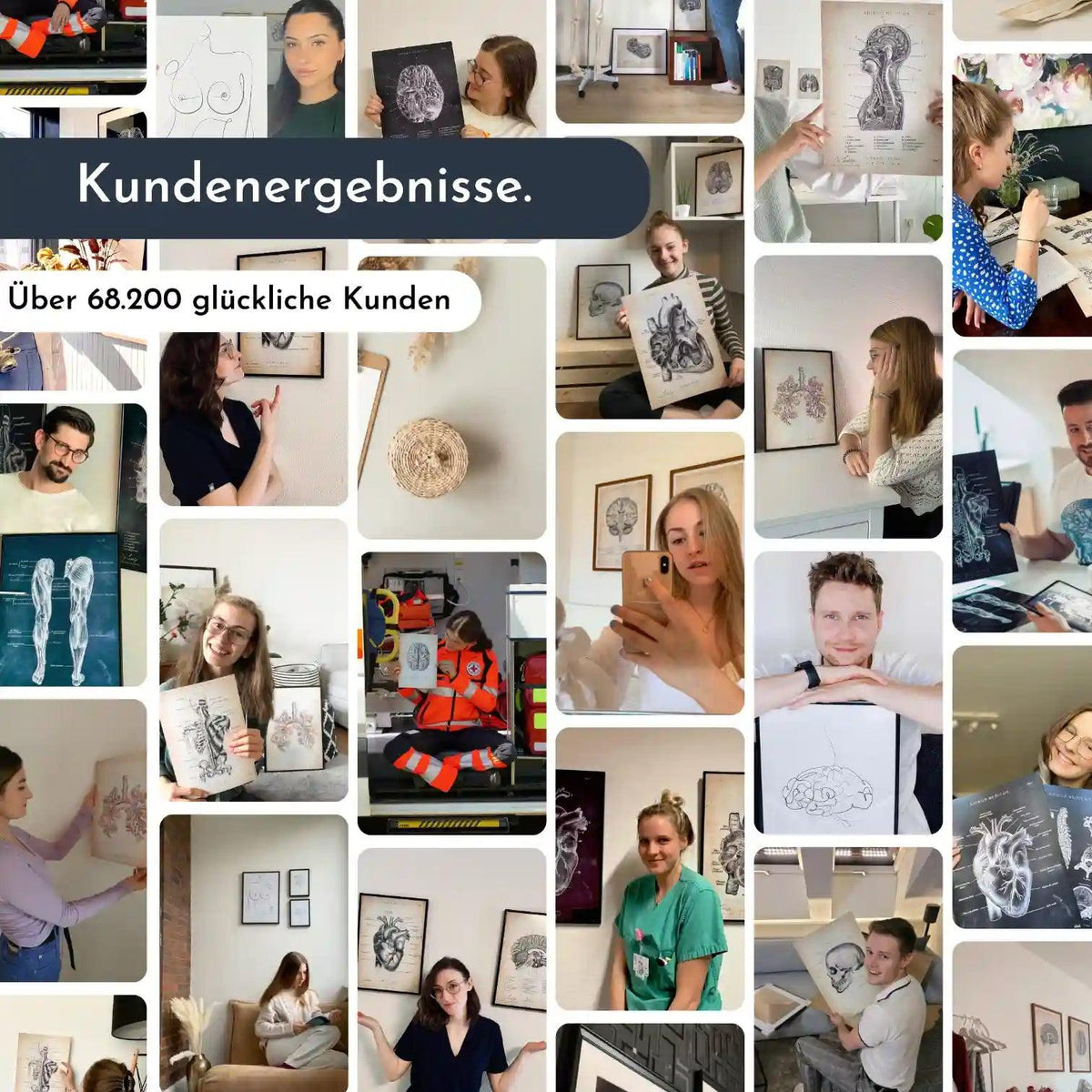 Nase im Sagittalschnitt - Chalkboard - Animus Medicus GmbH