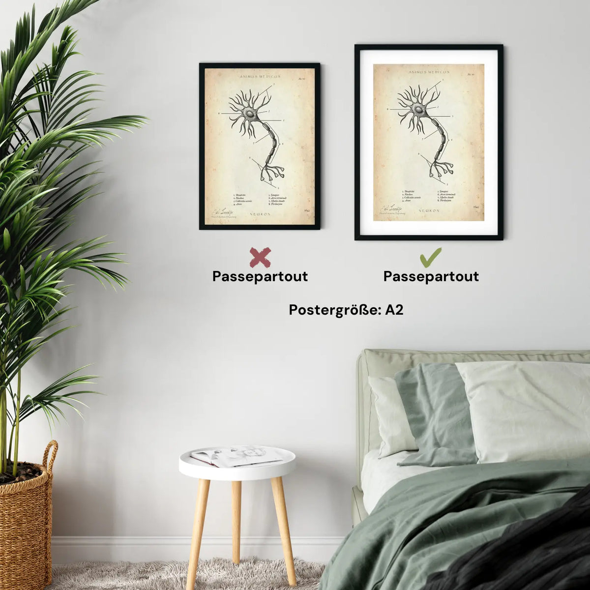 Nervenzelle Aufbau - Animus Medicus GmbH