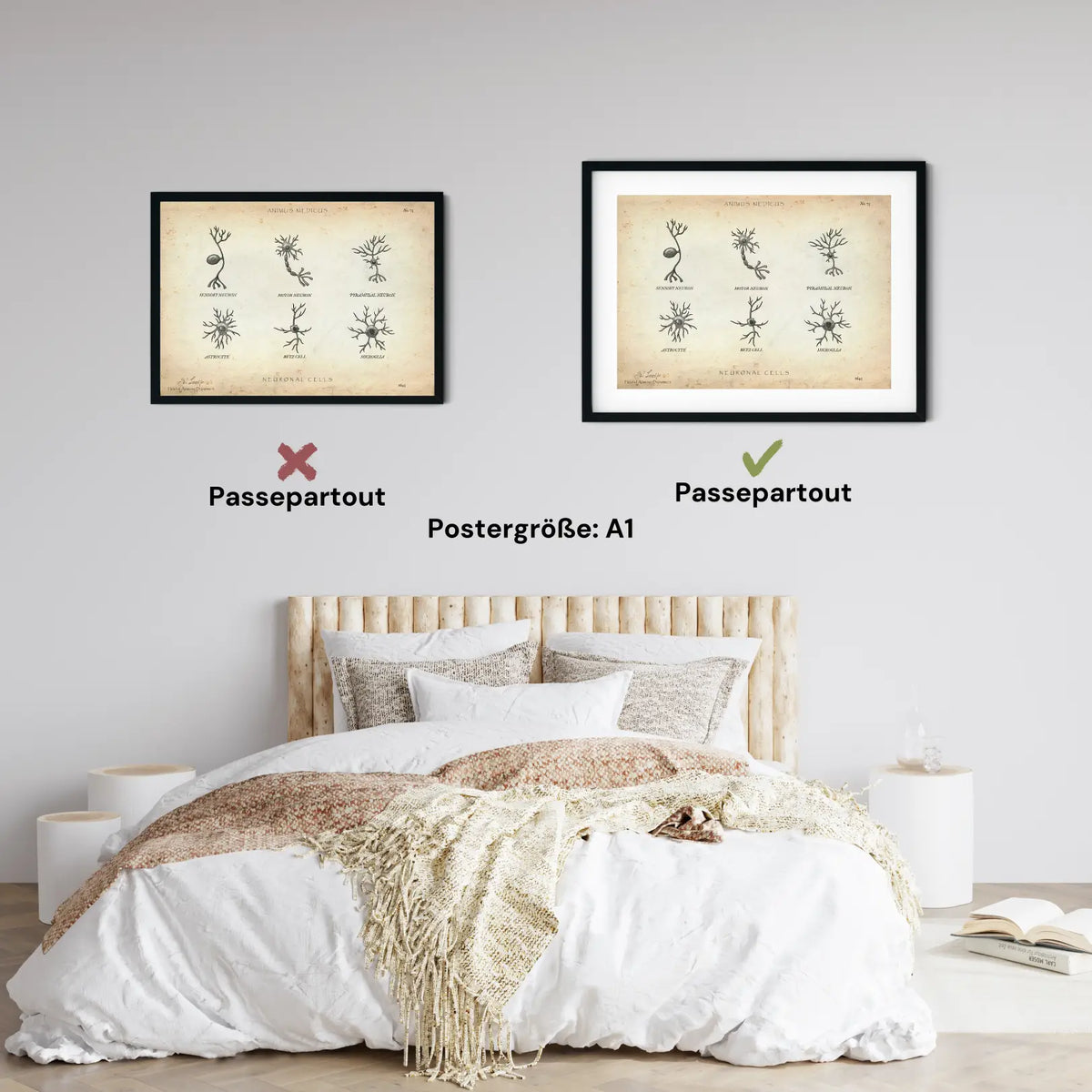 Neuronale Zellen - Animus Medicus GmbH