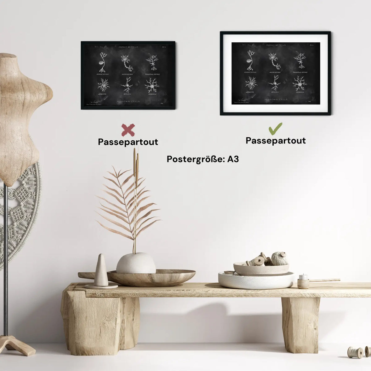 Neuronale Zellen - Chalkboard - Animus Medicus GmbH