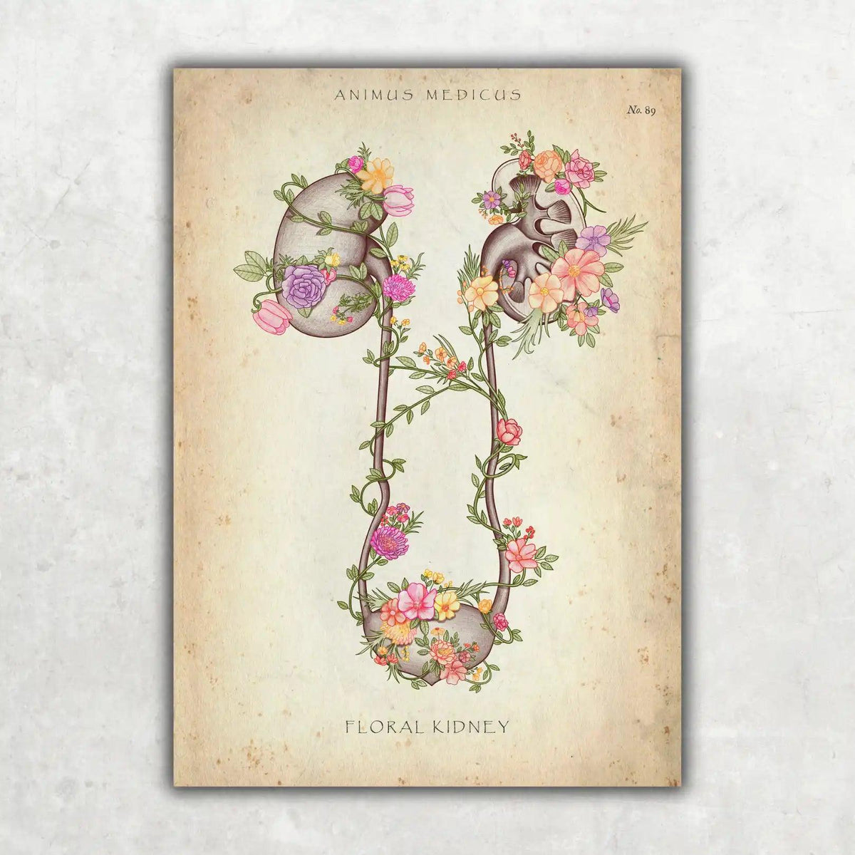 Niere und Blase mit Blumen - Animus Medicus GmbH