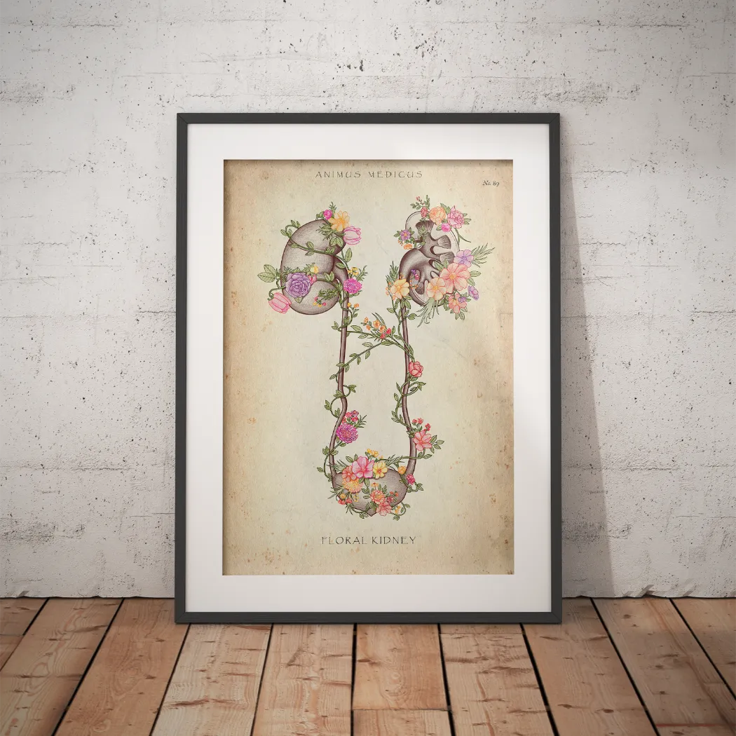 Niere und Blase mit Blumen - Animus Medicus GmbH