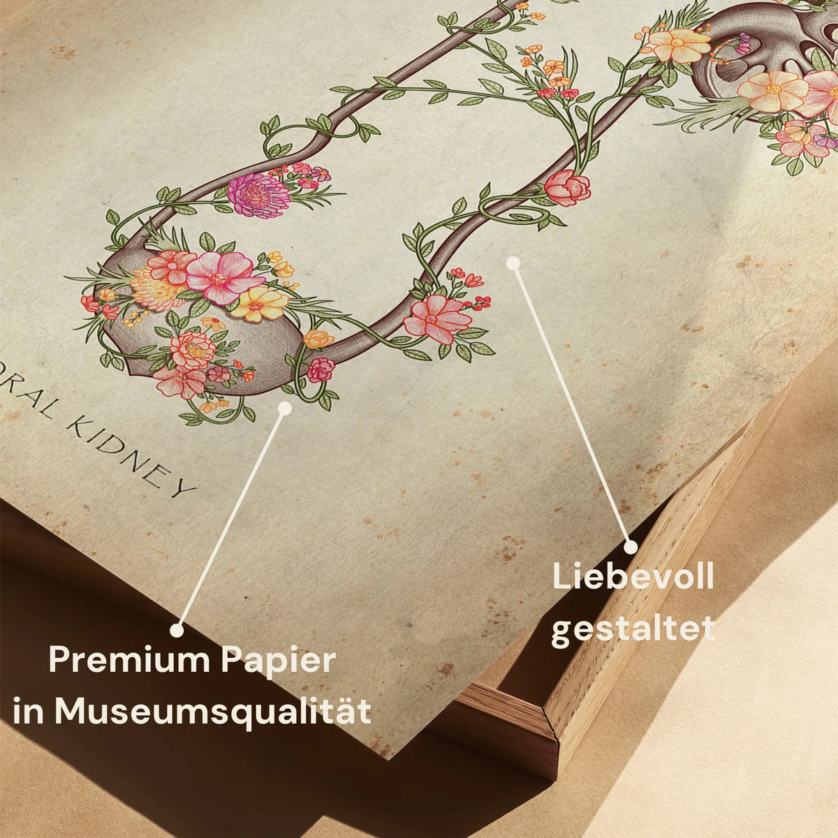 Niere und Blase mit Blumen - Animus Medicus GmbH