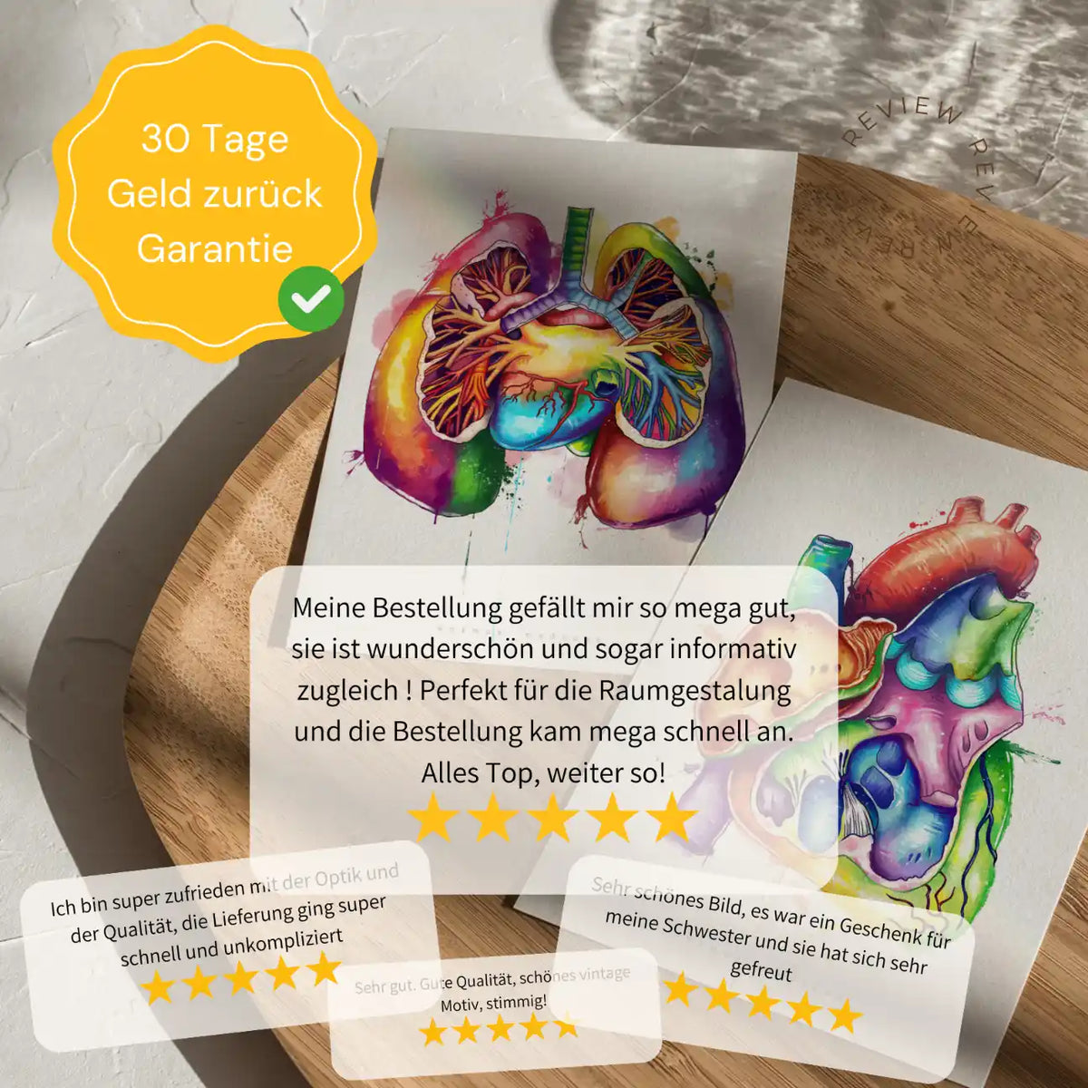 Osteologie der Tiere - Chalkboard - Animus Medicus GmbH