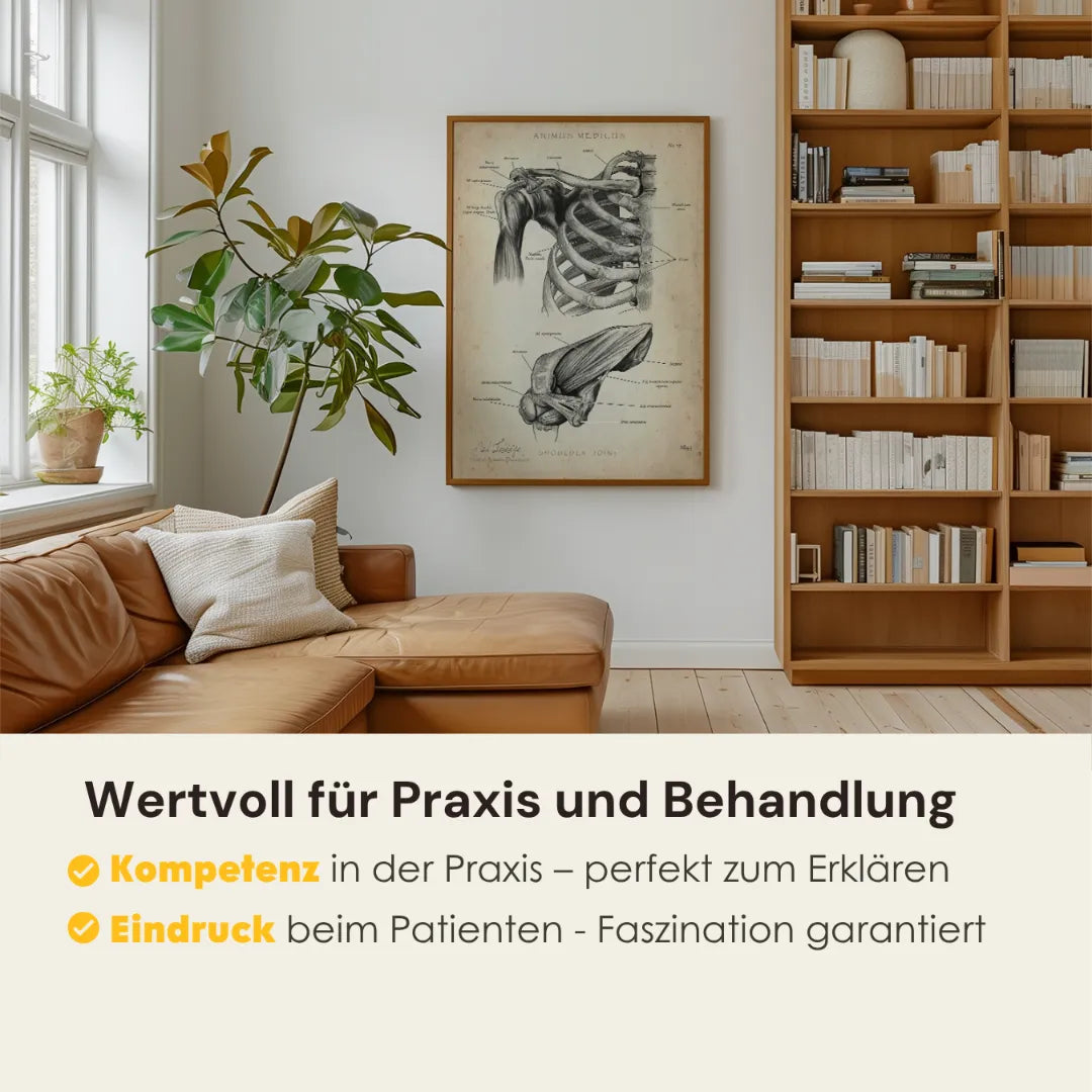 Physio Praxis Starter Set - Animus Medicus GmbH