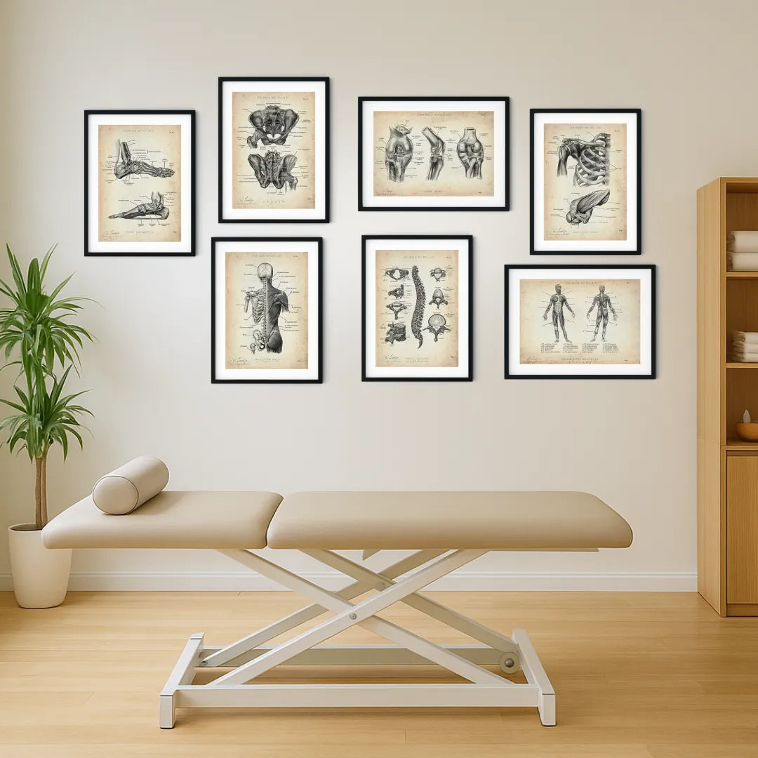 Physio Praxis Starter Set - Animus Medicus GmbH