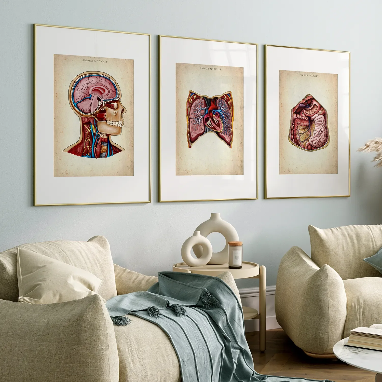 Reallife Triple Bundle - Animus Medicus GmbH