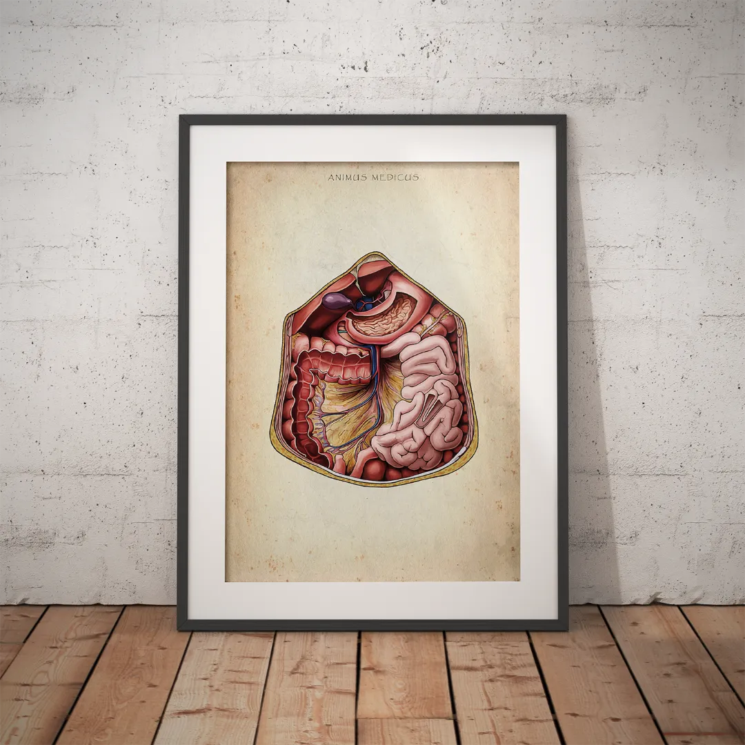 Reallife Triple Bundle - Animus Medicus GmbH