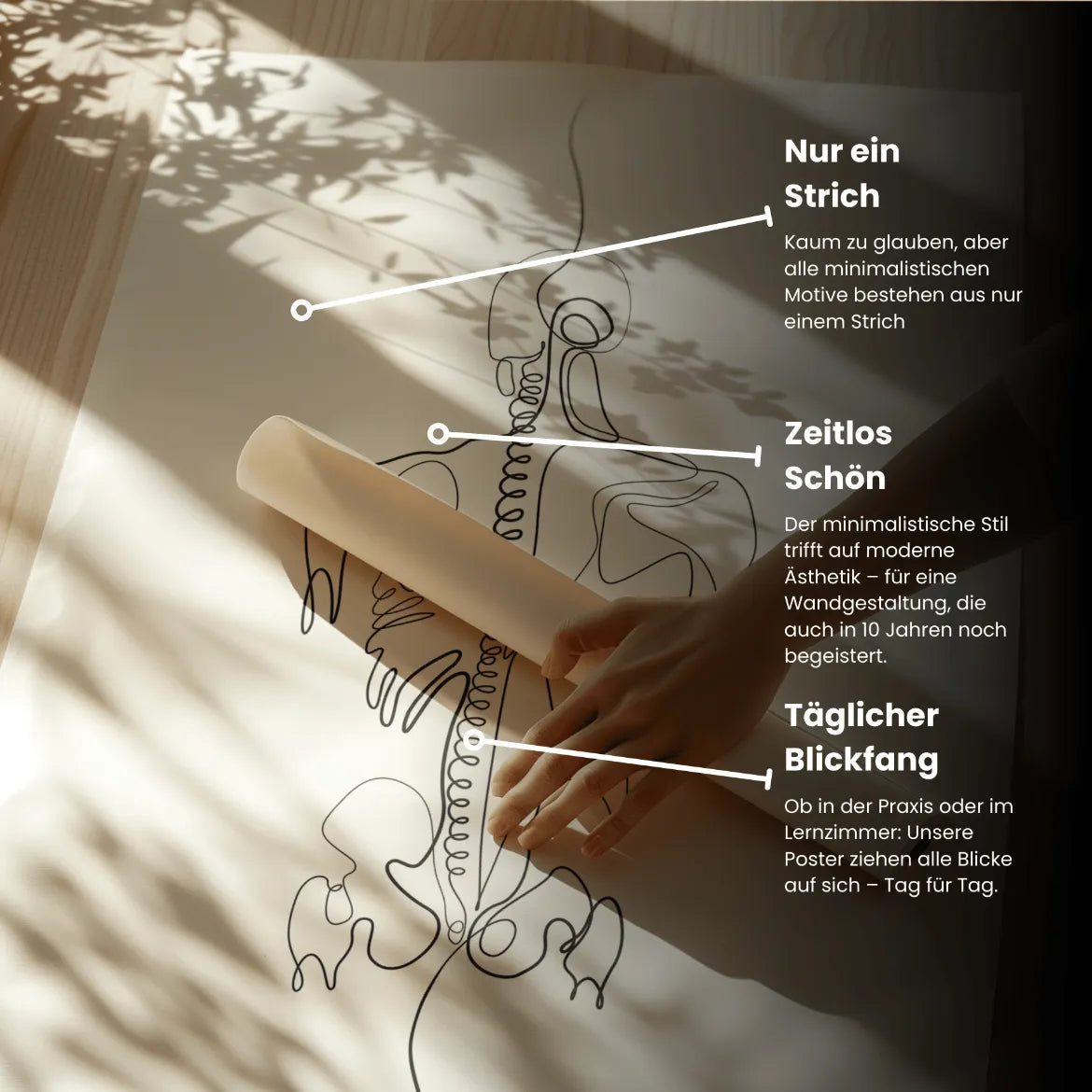 Rücken Anatomie Minimalist - Animus Medicus GmbH