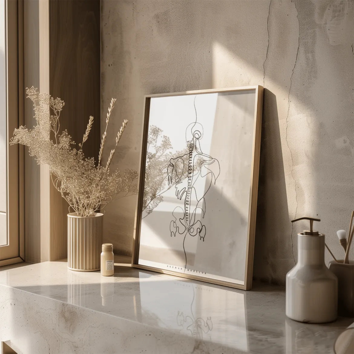 Rücken Anatomie Minimalist - Animus Medicus GmbH