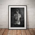 Rücken Anatomie | Knochen und Muskeln - Chalkboard - Animus Medicus GmbH