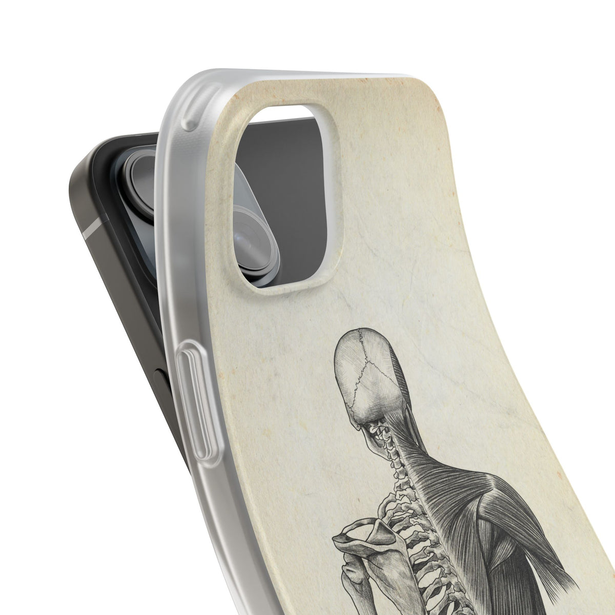 Rücken - Vintage - Animus Medicus GmbH