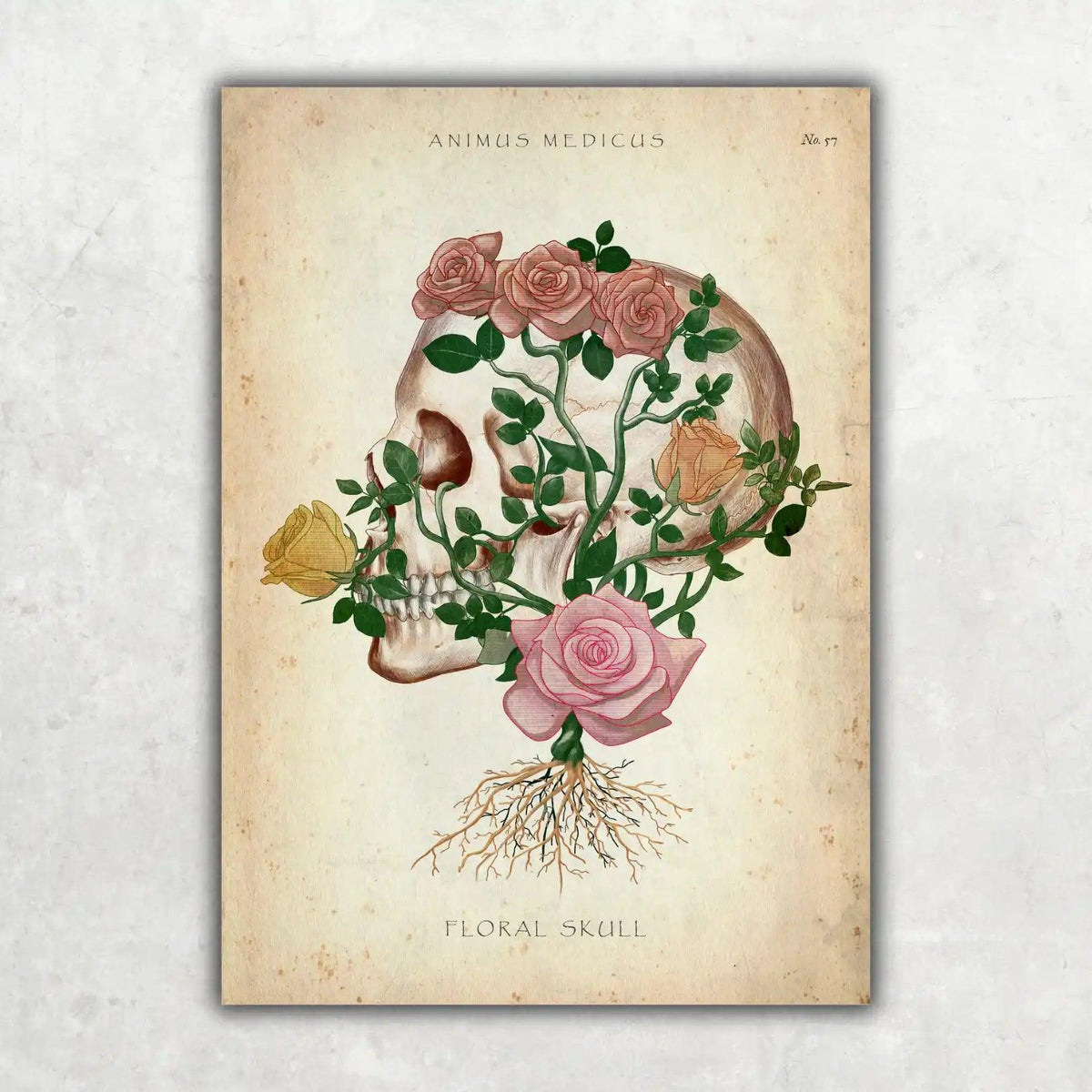 Schädel mit Blumen - Animus Medicus GmbH