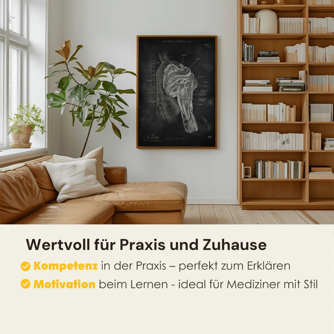 Schulter Anatomie Sammlung - Chalkboard - Animus Medicus GmbH