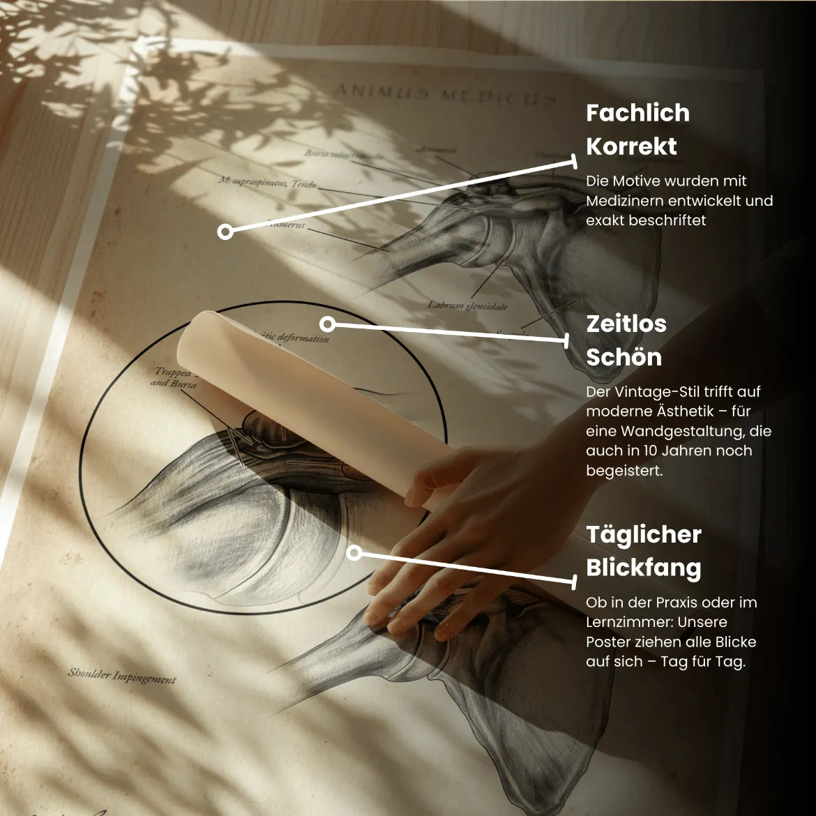 Schulter Impingement - Animus Medicus GmbH