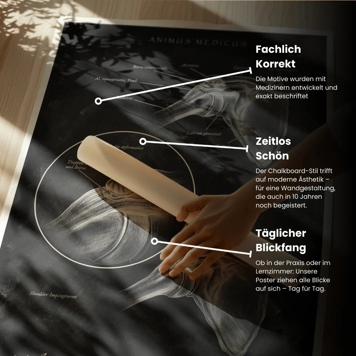 Schulter Impingement - Chalkboard - Animus Medicus GmbH
