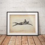 Schwimmen Anatomie Poster - Animus Medicus GmbH