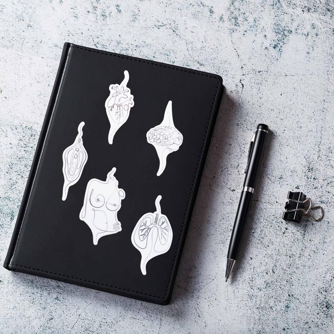 Sticker Set - Minimalist Edition - Animus Medicus GmbH