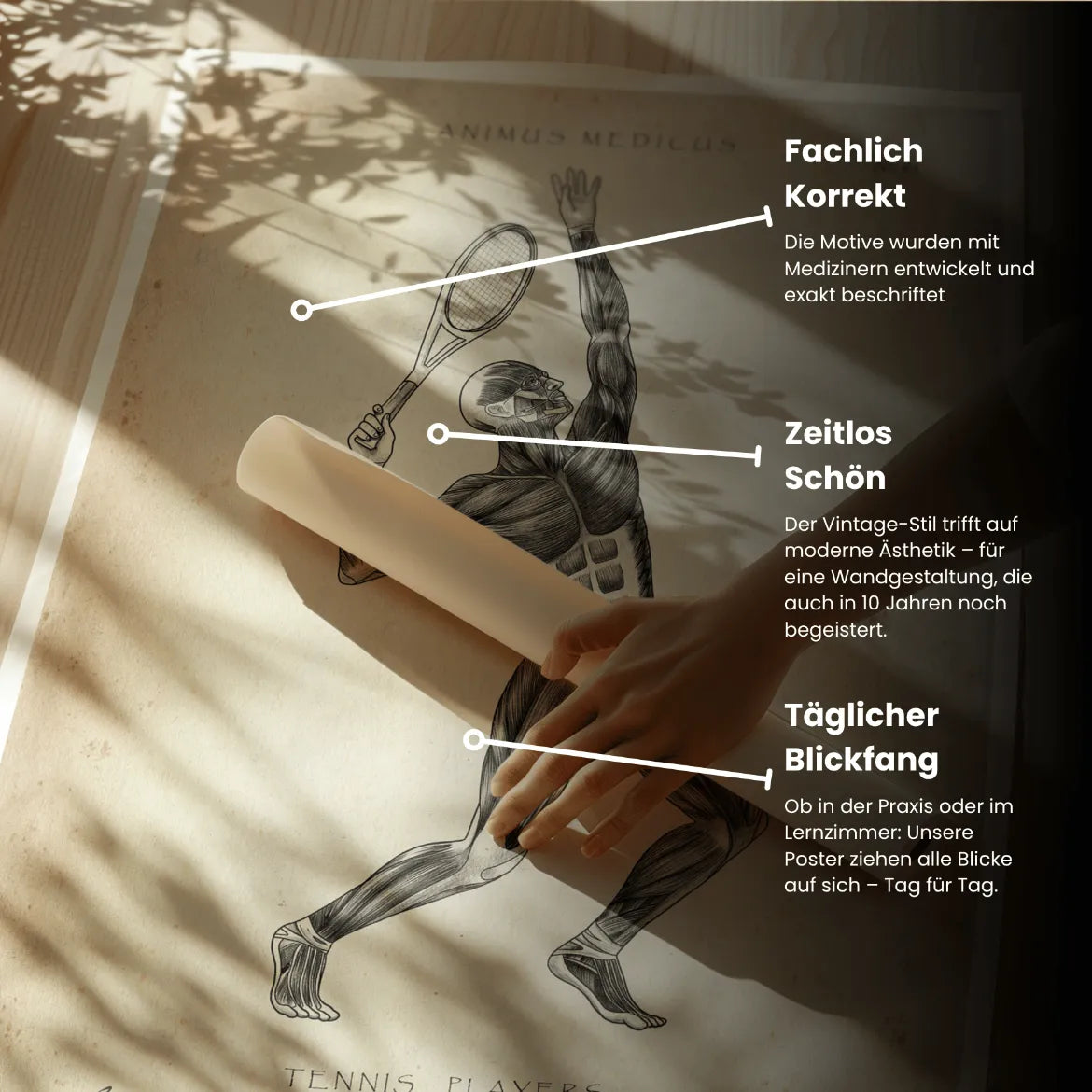 Tennis Anatomie Poster - Animus Medicus GmbH